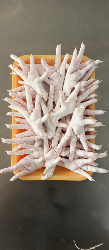 Frozen chicken feets