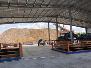 wood pallet in weena trading asia