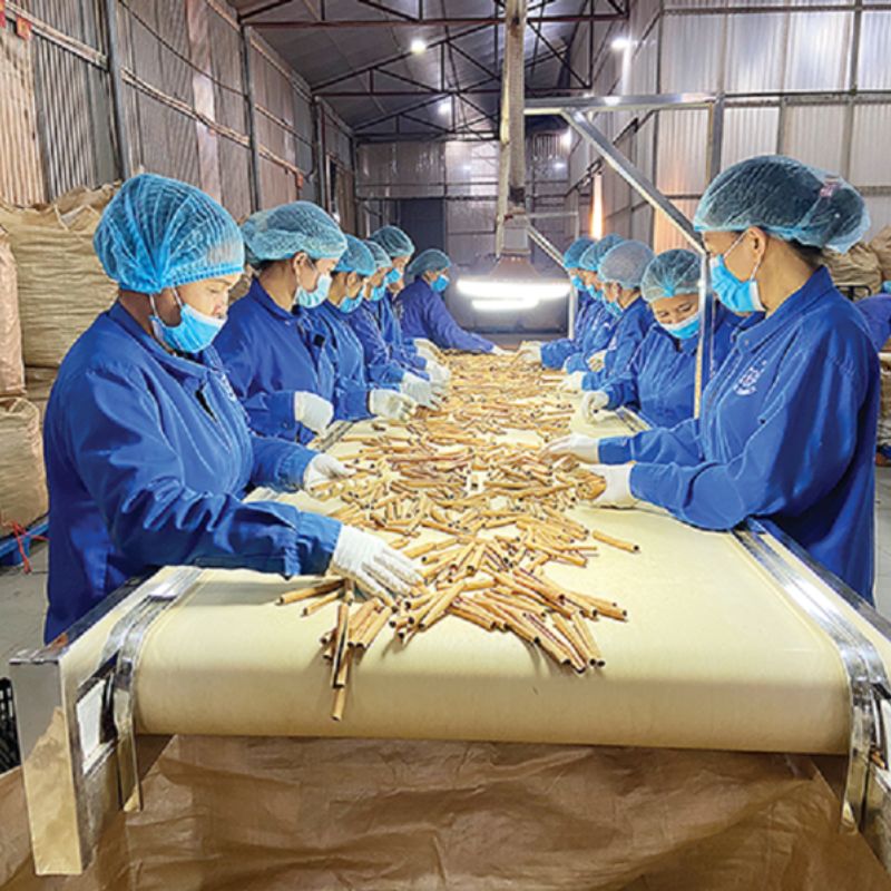 Cinnamon Brokerages and Industry Trends: Stay Ahead of the Game 9 Cinnamon Brokerages and Industry Trends: Stay Ahead of the Game