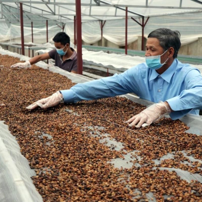 Coffee Brokerages 101: What You Need to Know 9 Coffee Brokerages 101: What You Need to Know