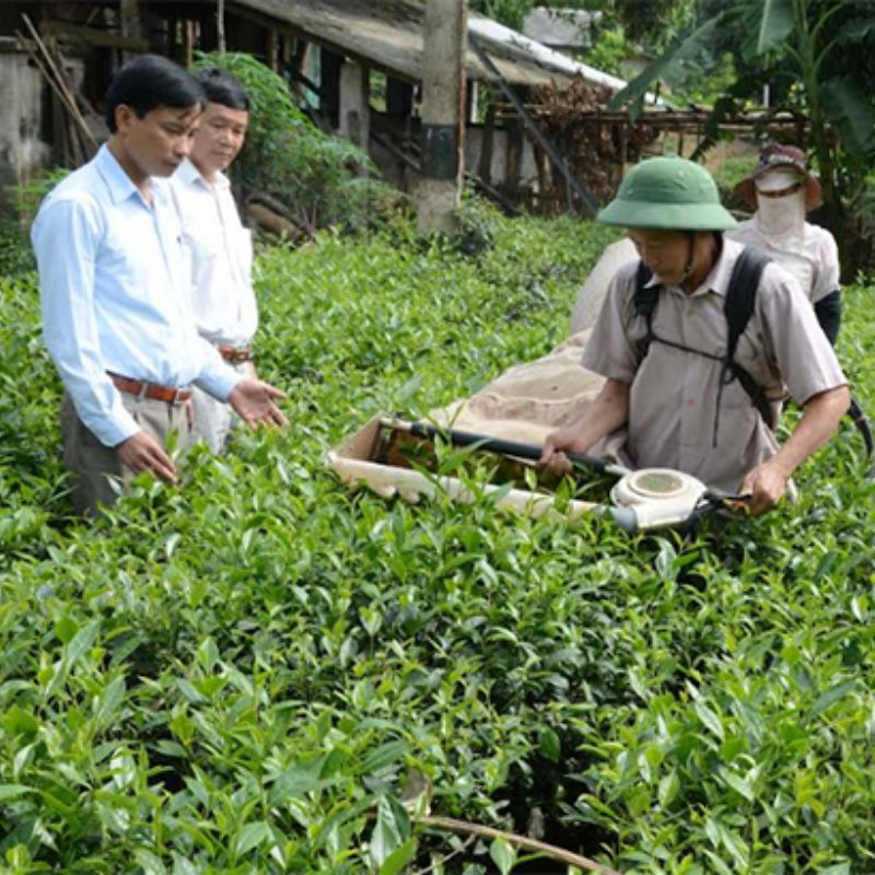 The Role of Brokerages in the Tea Industry: A Deep Dive 7 The Role of Brokerages in the Tea Industry: A Deep Dive