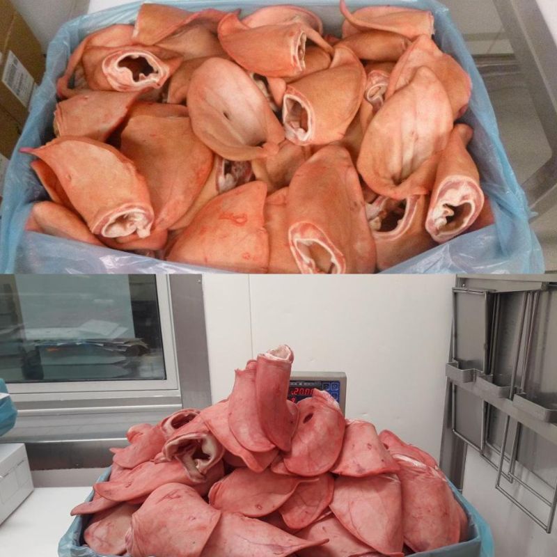 The Profitability of Pork Ears Trading: Role of Brokerages