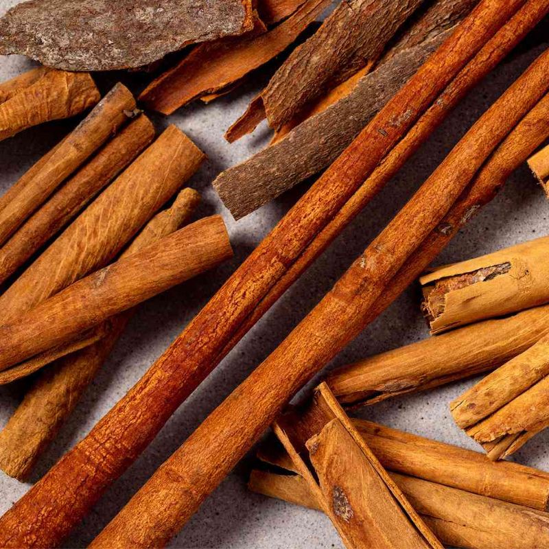 Cinnamon Brokerage Firms: Trustworthy Partners for Traders