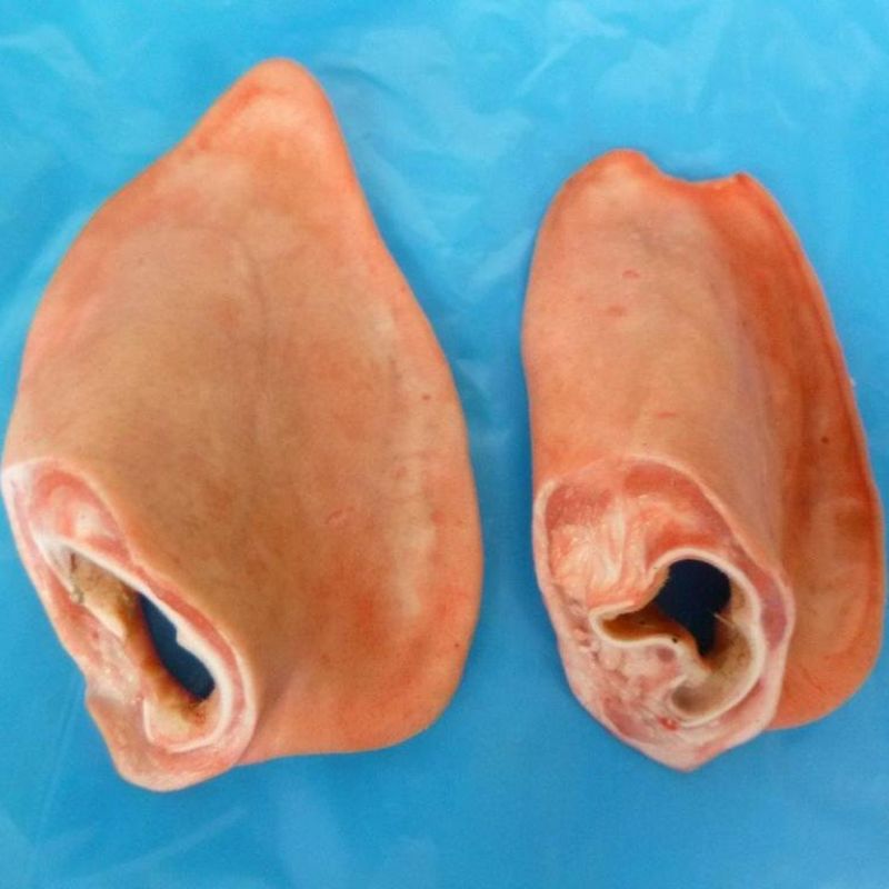 The Profitability of Pork Ears Trading: Role of Brokerages