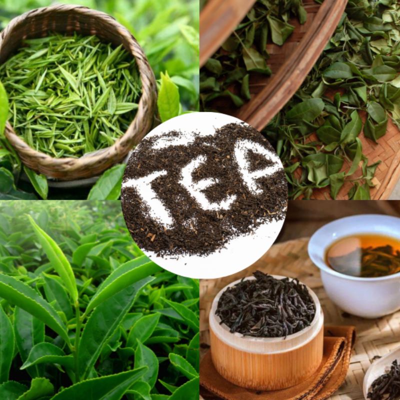 The Art of Tea Trading: Brokerage Secrets and Best Practices