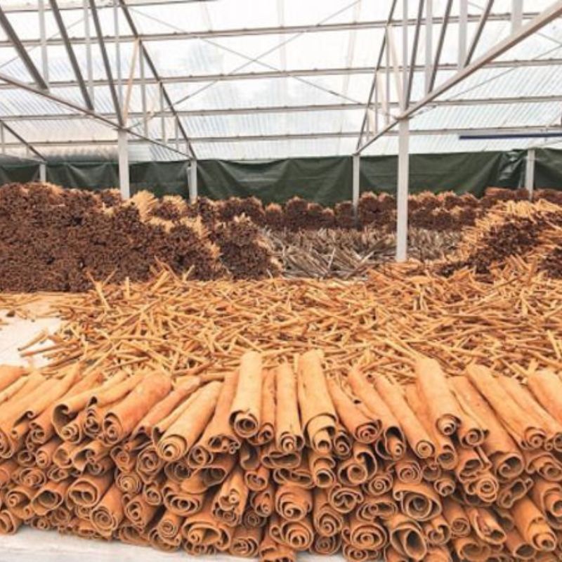 Cinnamon Trading Made Easy: Choosing the Right Brokerage Partner 9 Cinnamon Trading Made Easy: Choosing the Right Brokerage Partner