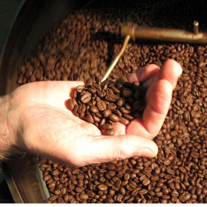 Coffee Brokerages by Region: Finding the Best Deals Worldwide