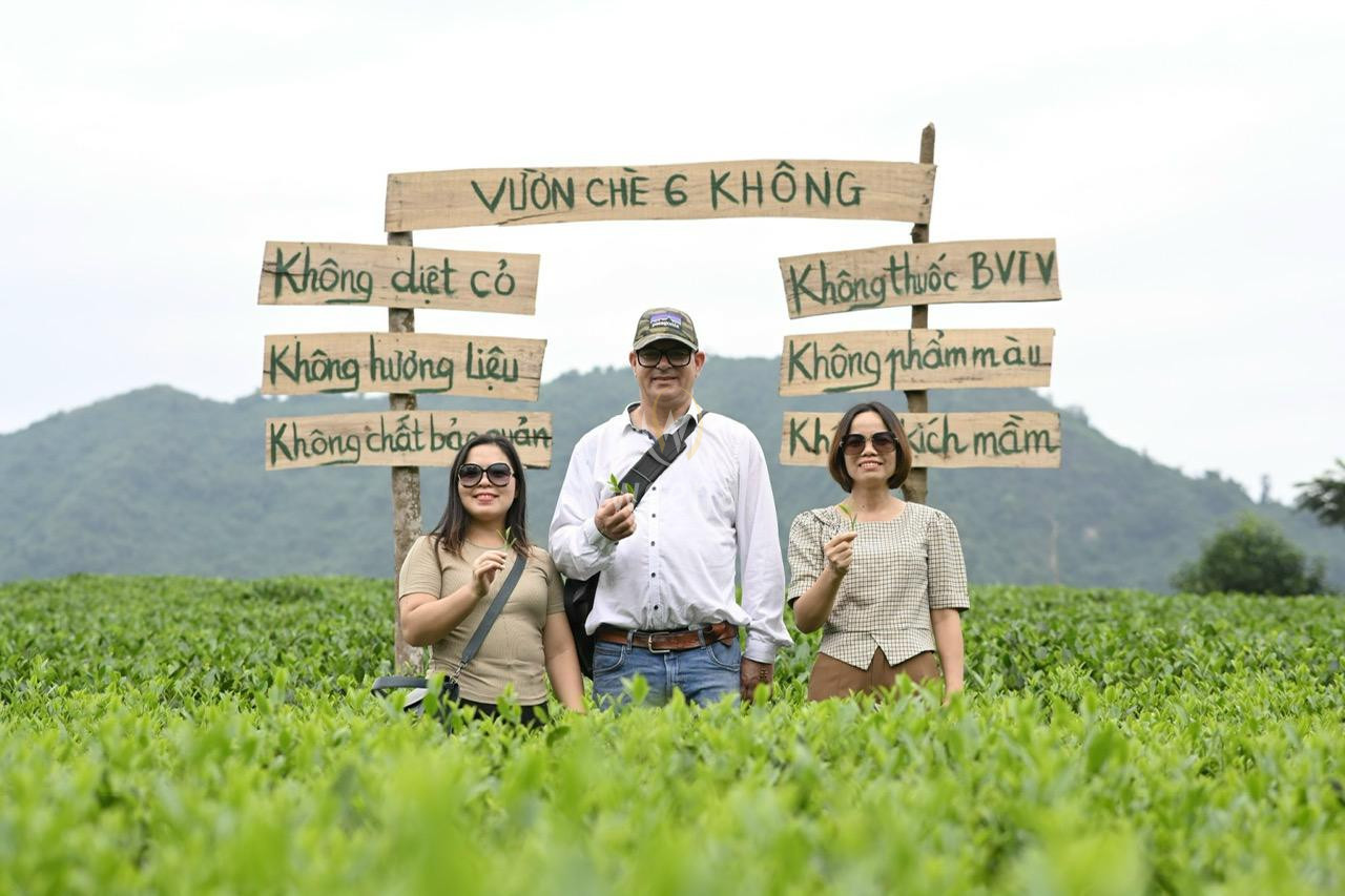 Weena Trading Asia Investment LTD. Tea Farm in Vietnam