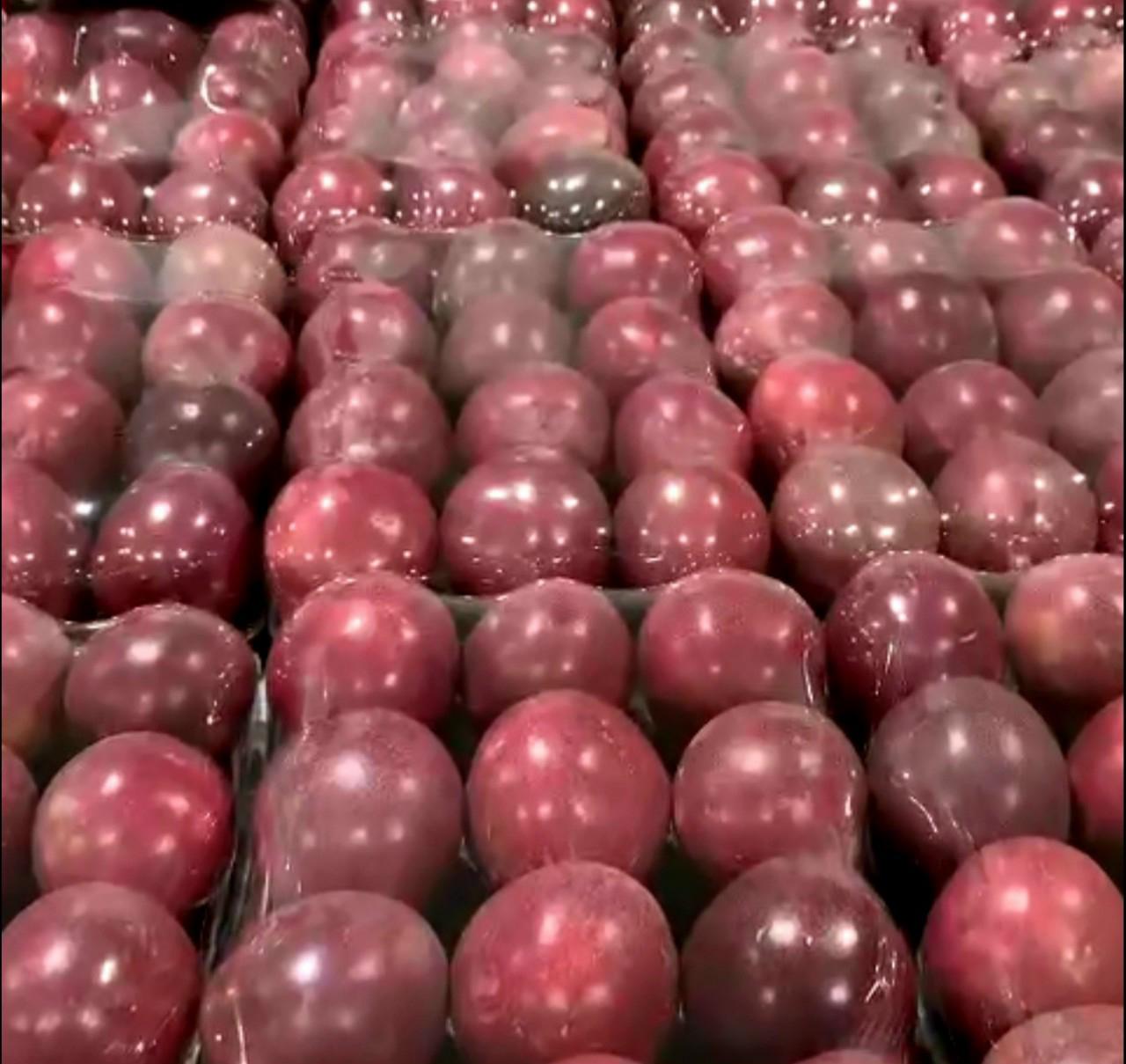 IMG-20231101-WA0020 IMG 20231101 WA0020