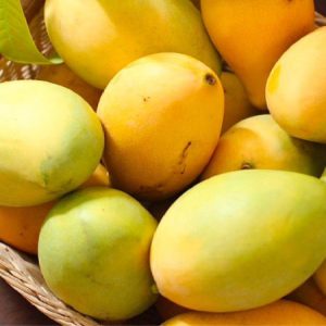 Weena Trading asia Investment LTD Mangos Export worldwide.