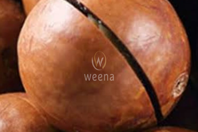 The Marvelous World of Macadamia Nuts: A Comprehensive Guide 6 4 13