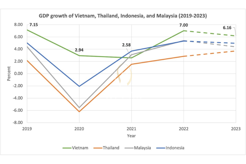 Vietnam’s Economic Growth: A Rising Powerhouse in 2025 5 vietnam