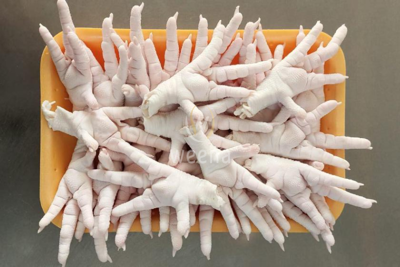 Premium Frozen Chicken Paws – A Trusted Choice for Global Food Importers 5 4
