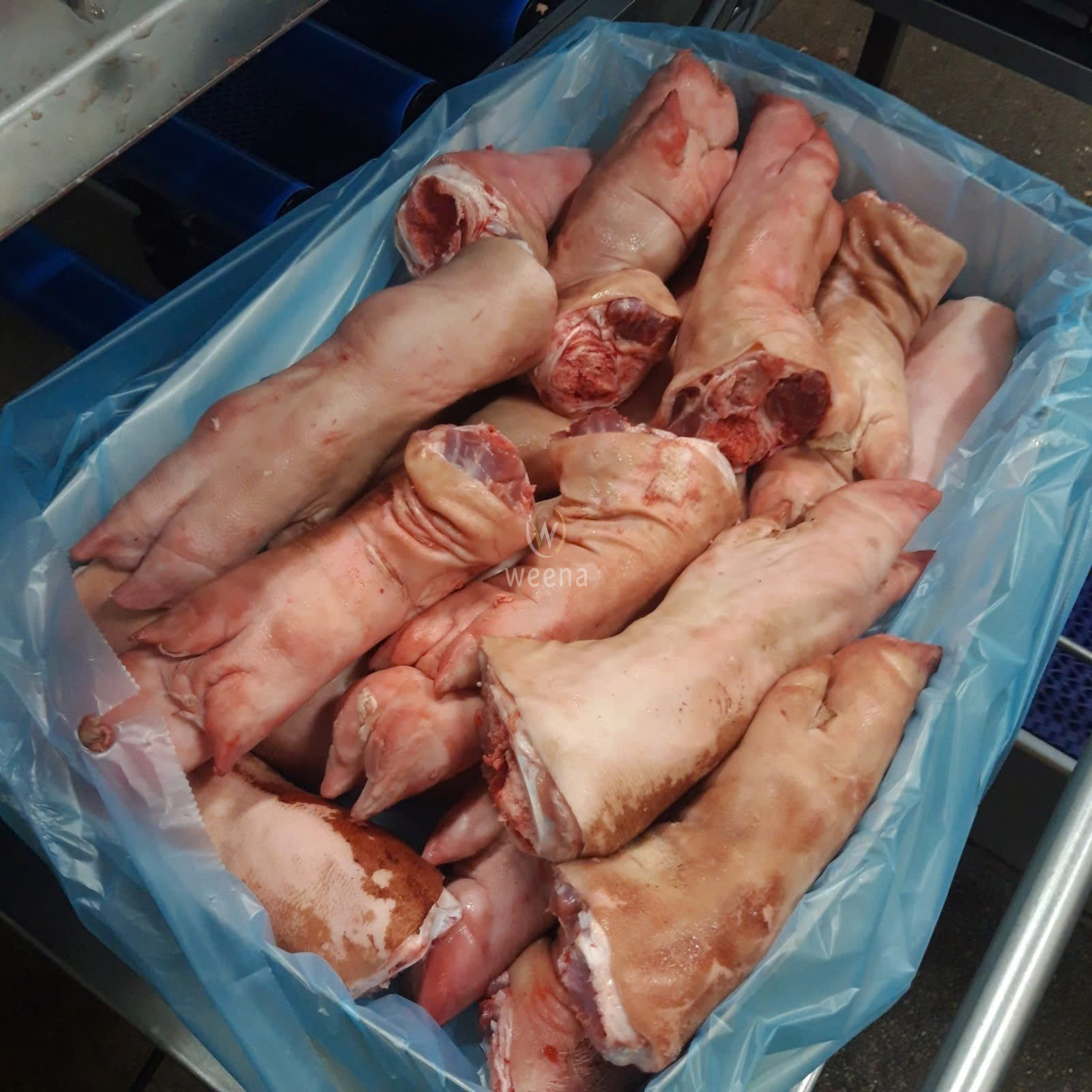 frozen pork