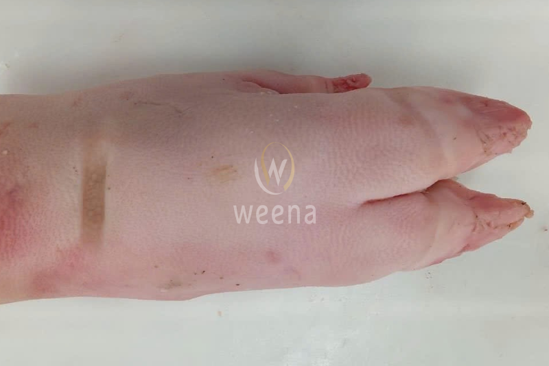 Pork Front Feet – A Traditional Ingredient with Rich Flavor and Culinary Heritage 5 15