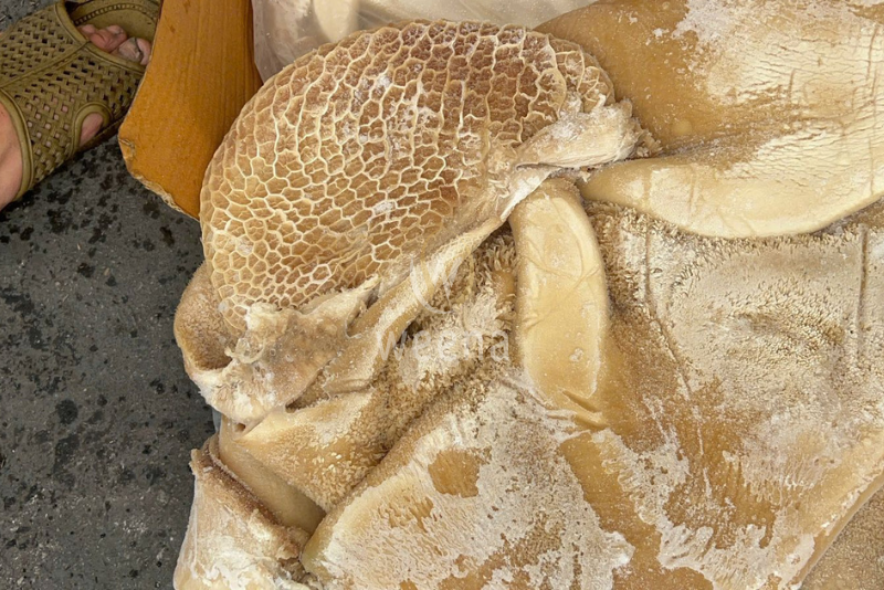 Beef Honeycomb – Exploring the Unique Texture and Taste of Honeycomb Tripe 5 beef honeycomb