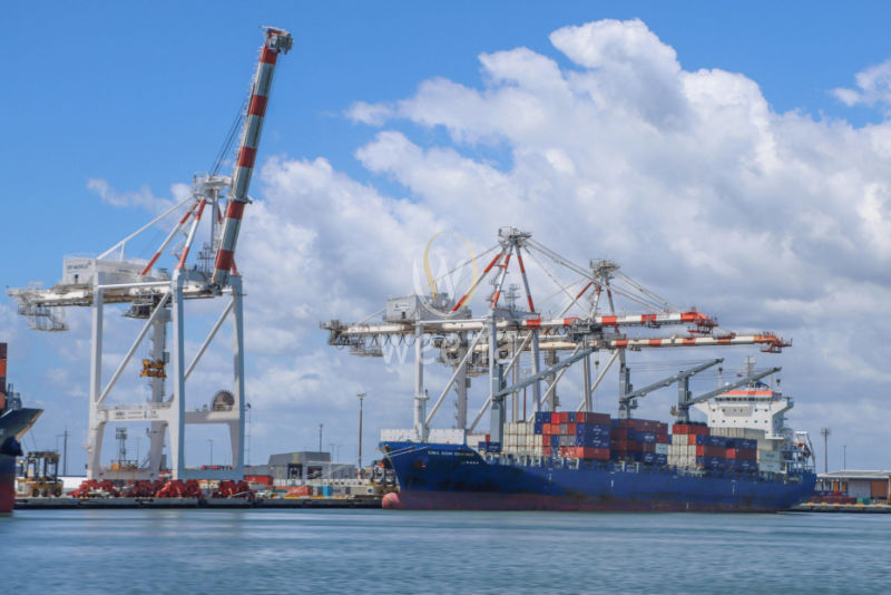 Why Vietnam Is Becoming a Global Hub for Agricultural Commodity Exports 6 32