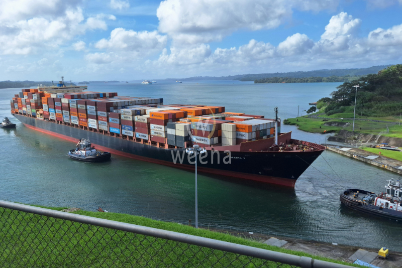 Why Vietnam Is Becoming a Global Hub for Agricultural Commodity Exports 7 33