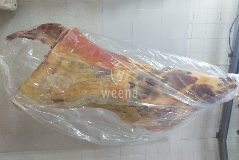 frozen beef
